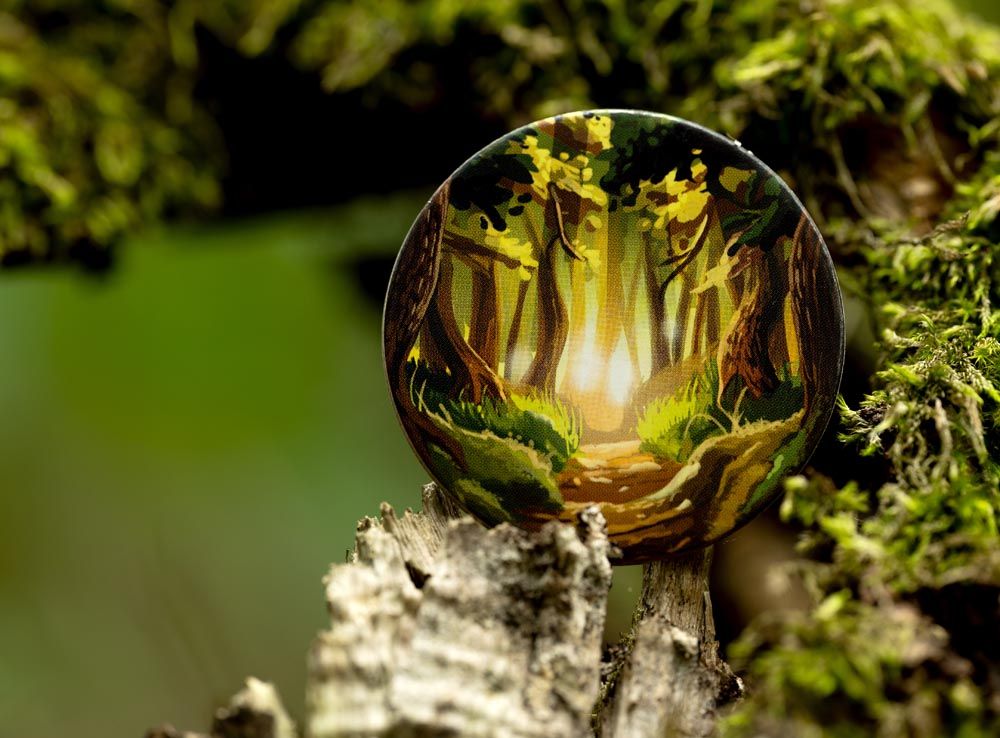 lifestyleltd-wonder-woods-gribnye-mesta-07