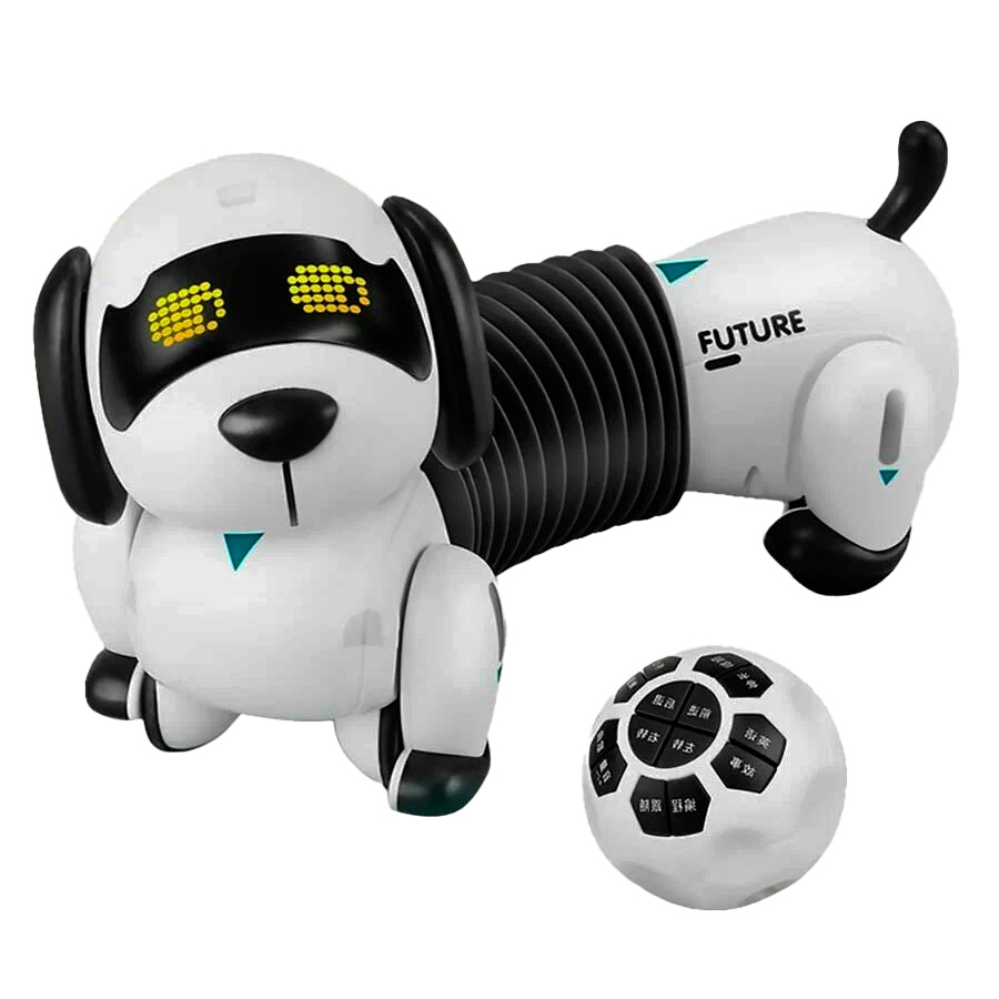 robot-sobaka-taksa-na-radioupravlenii-zhorya-zya_a2949