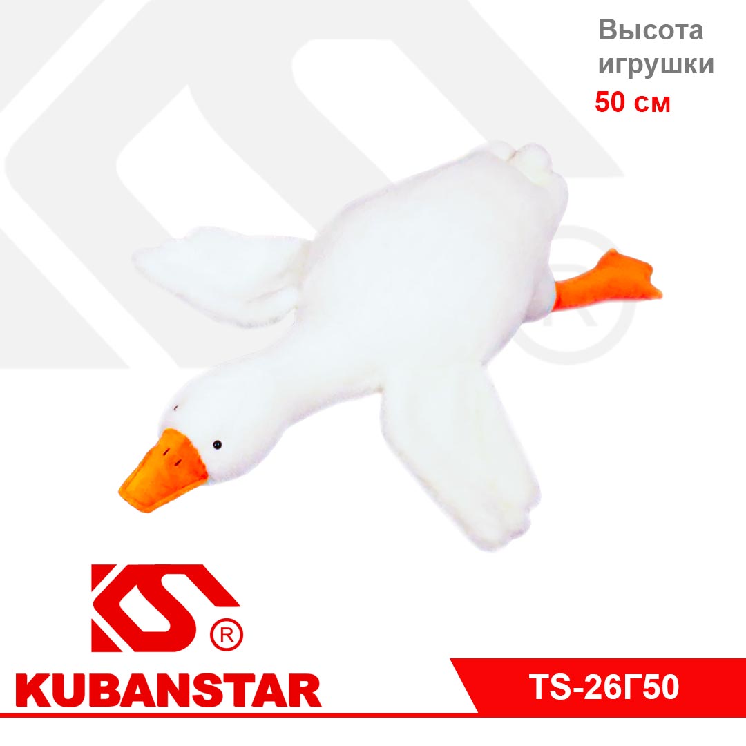Cb010012785_1