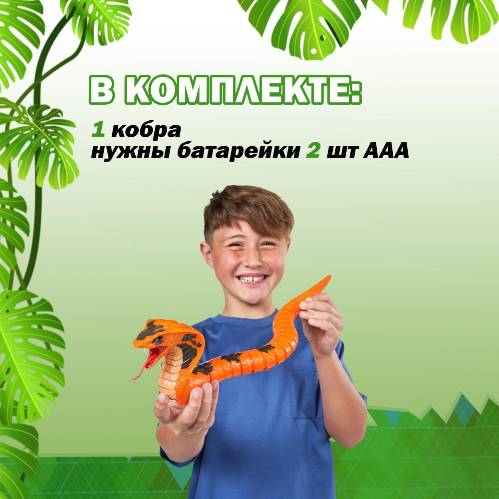 2950e0ee-c2ea-11ef-82f6-000c29e312cc_2950e0f3-c2ea-11ef-82f6-000c29e312cc